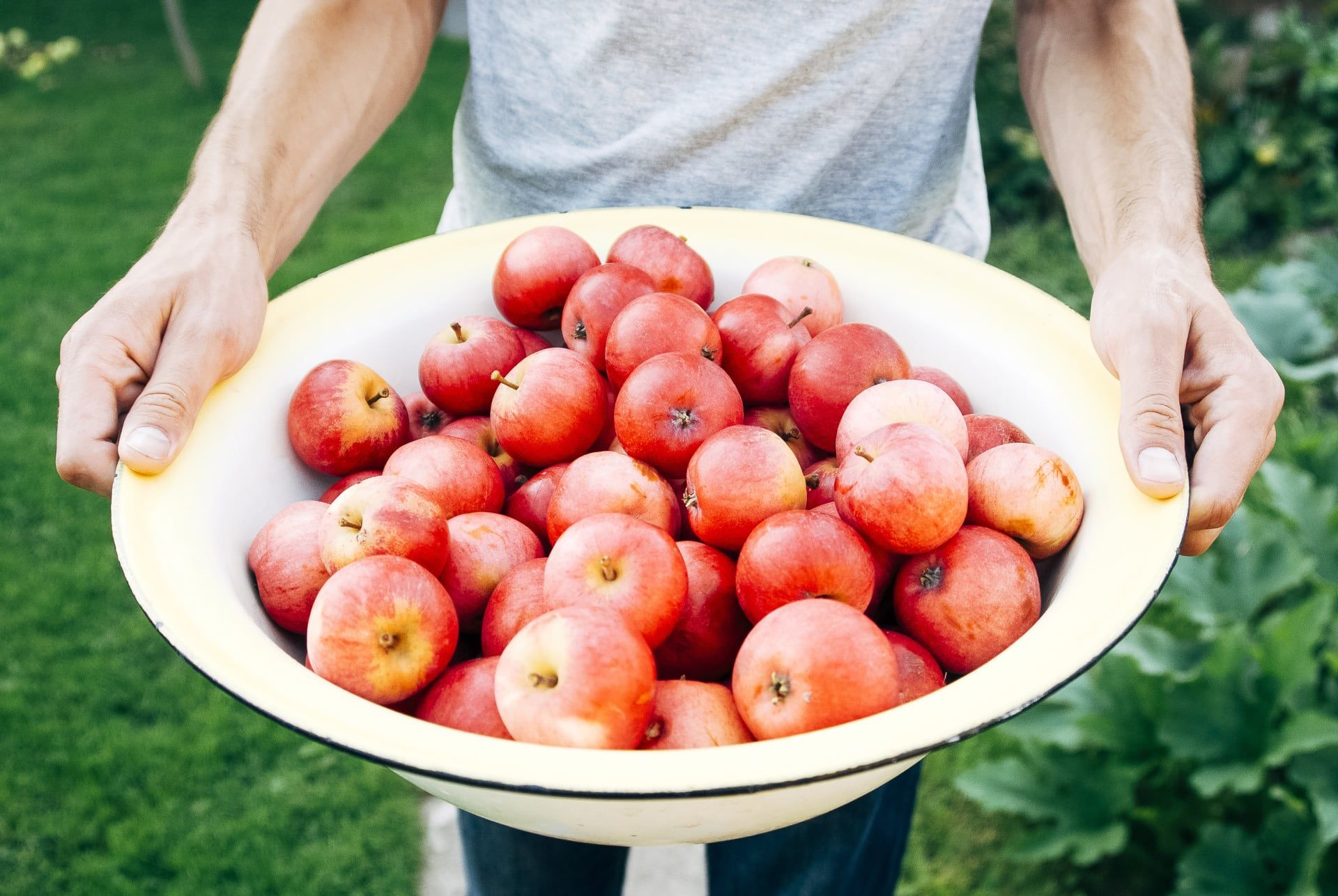 Best Apple Orchards Pumpkin Patches In Madison