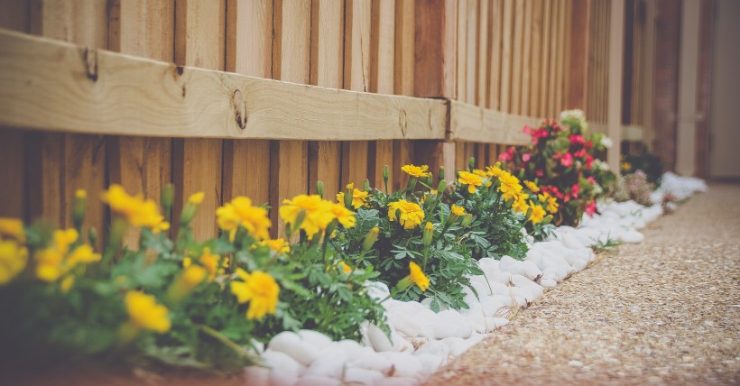 Prepping Your Yard for Spring