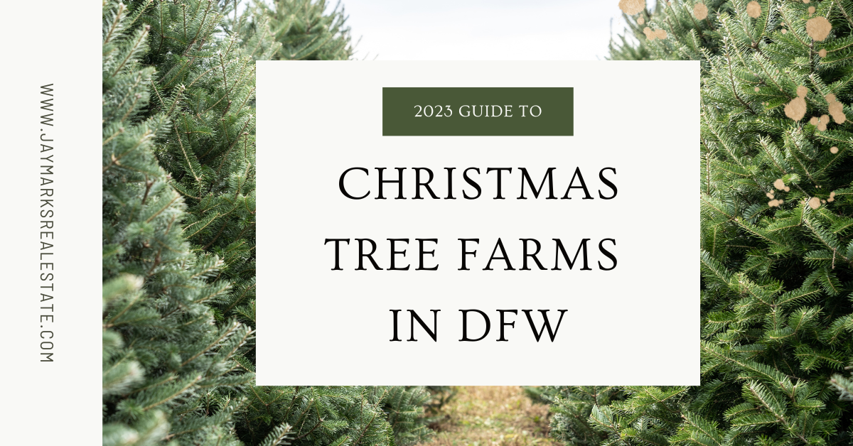 DFW Christmas Tree Farms to Visit in 2023