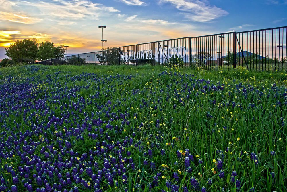 Jay Around Town Flower Mound Named 'Most Livable' Place in Texas