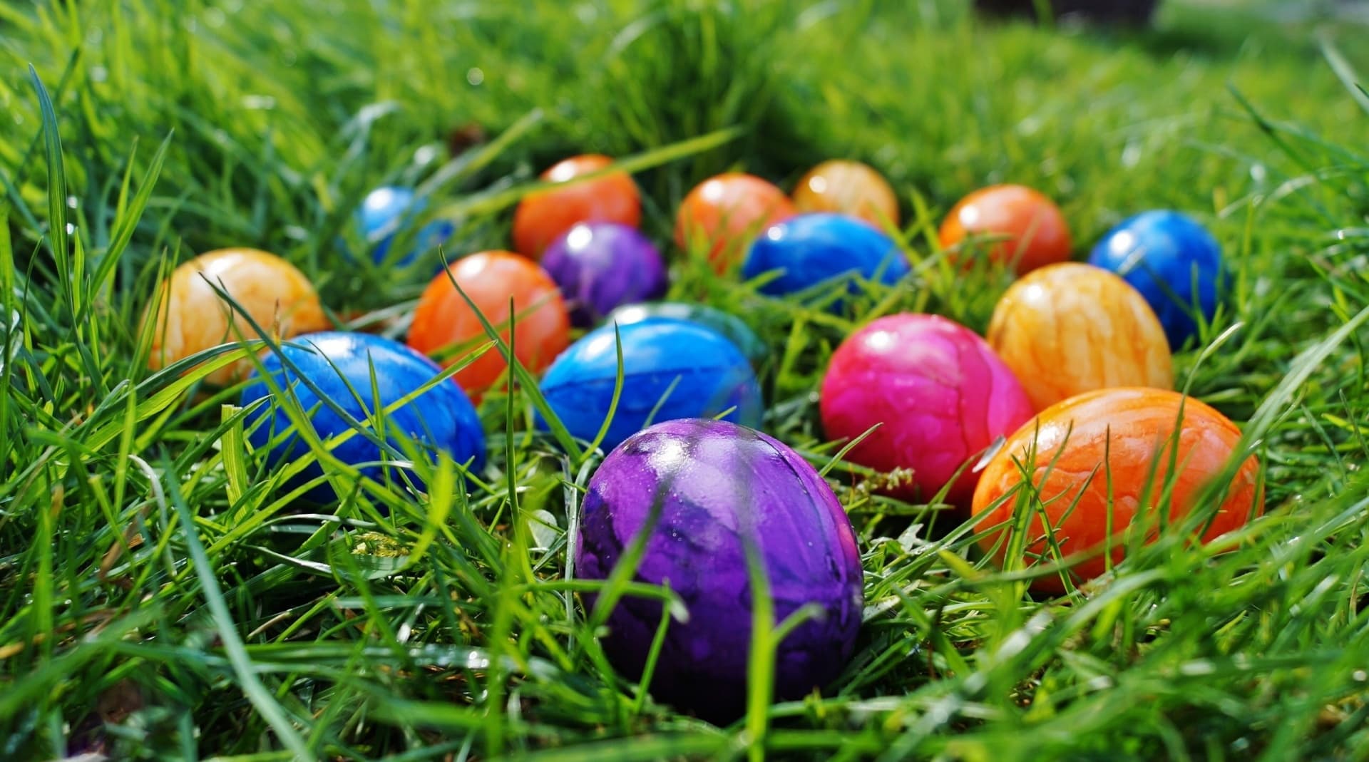 Jay Around Town 2018 DFW Easter Egg Hunt Guide