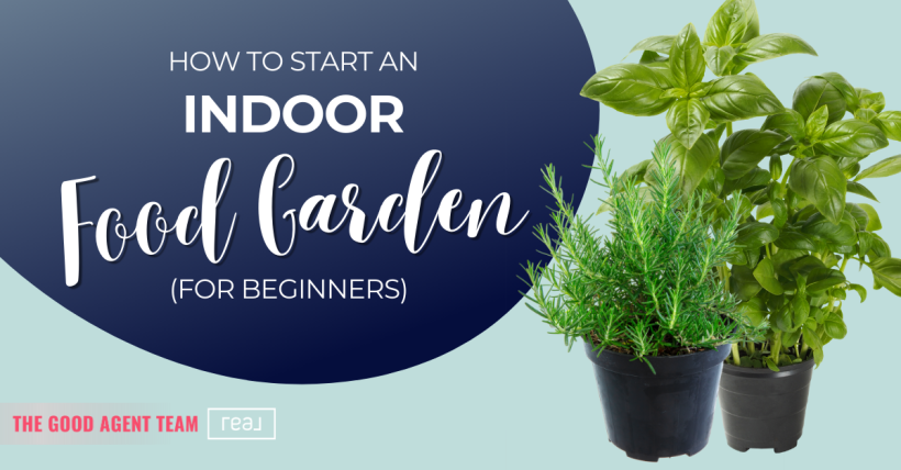 How to Start an Indoor Food Garden (for Beginners)