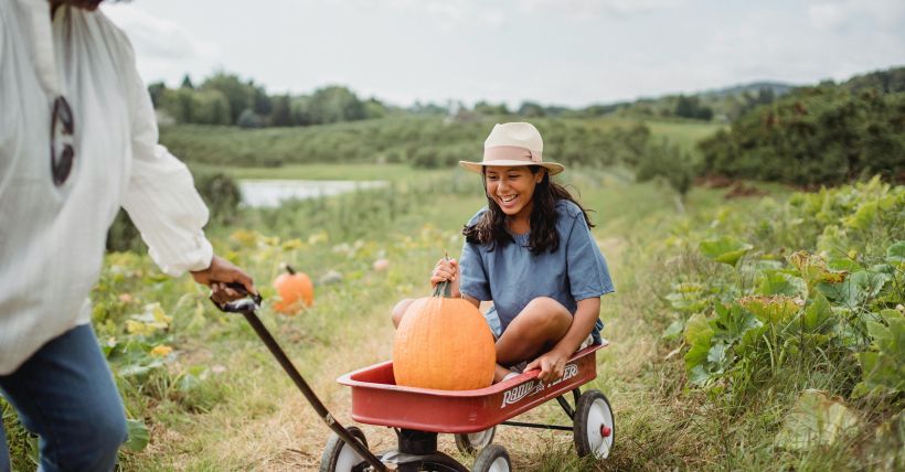 🎃 Best Pumpkin Patches in the East Bay