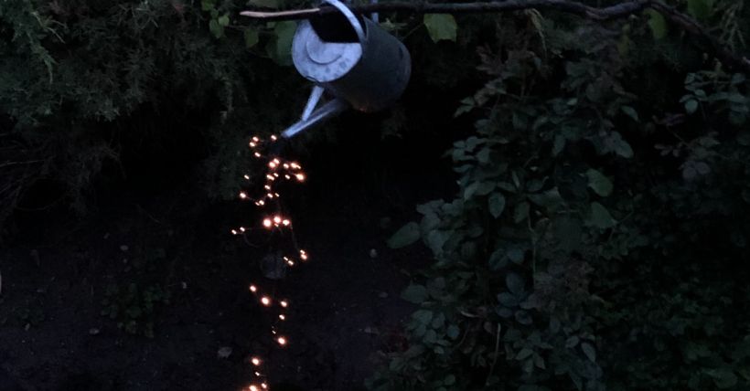 The HOLM Stretch July 3, 2020