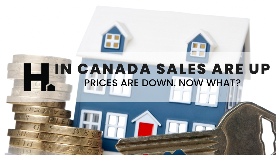 Nationally, Home Sales are Up and Prices are Down: What Now?