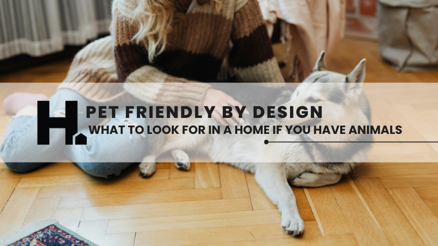 Pet-Friendly by Design: What to Look for in a Home When You Have Animals