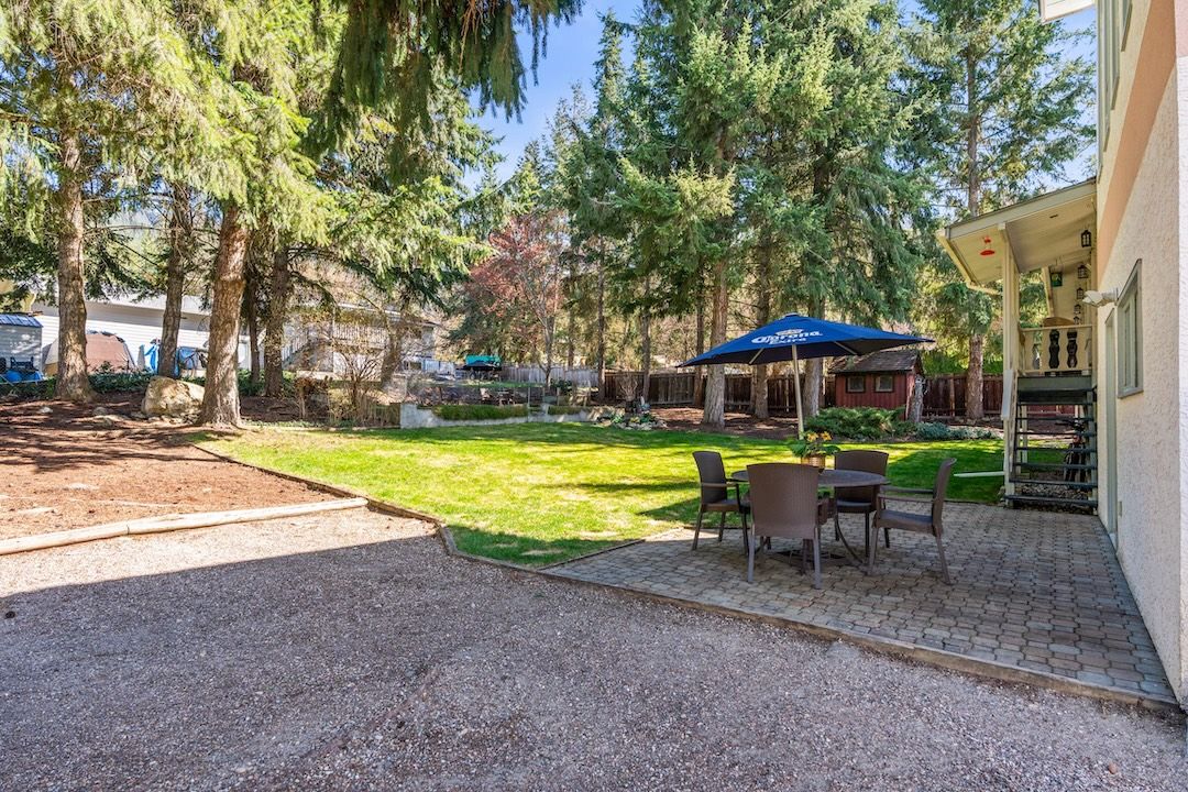 Paver patio and lawn under mature evergreens