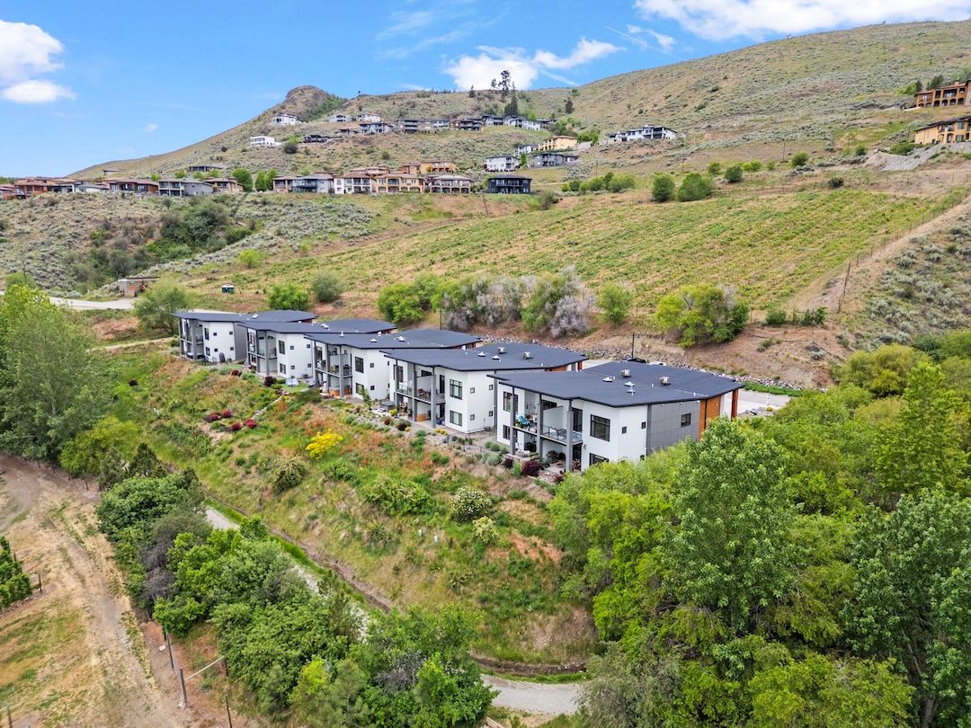 Hillside and trail behind 206 Vineyard Way