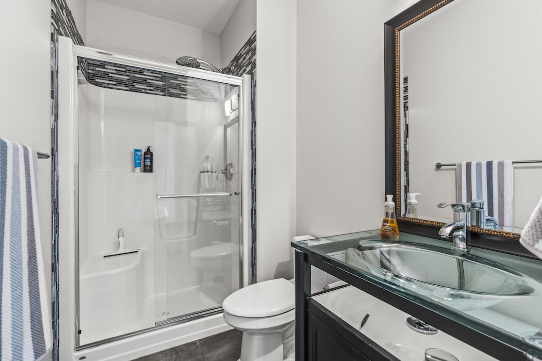 Lower level bathroom