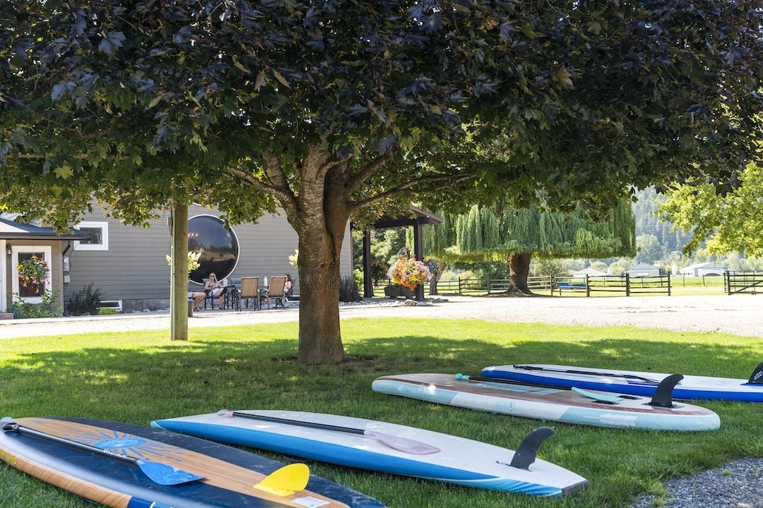 Paddleboards under the willow