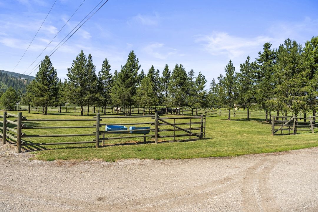 Fenced paddock