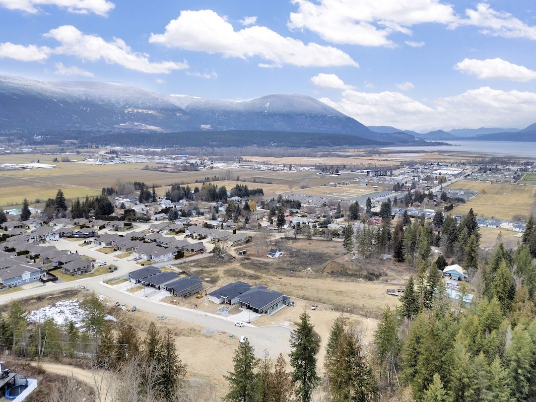 Aerial view over Woodland Heights toward the lake