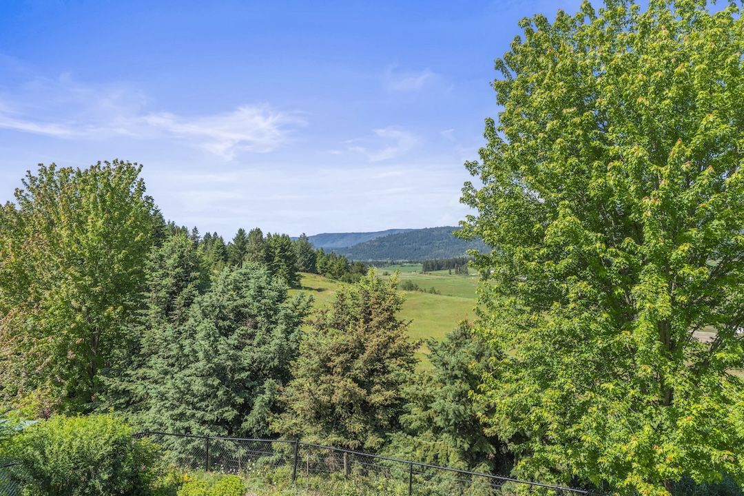 View from the deck