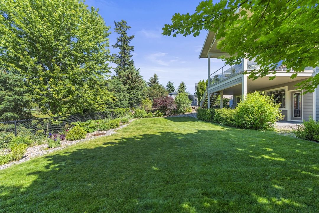 Back yard
