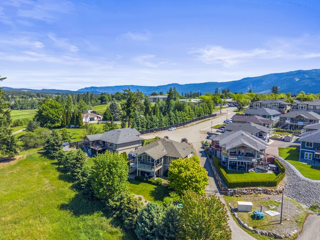 Aerial view of the neighbourhood