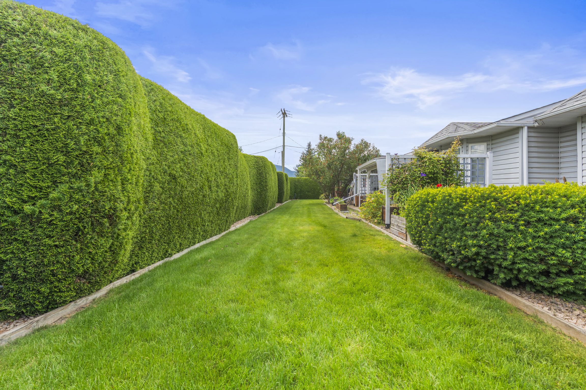 Private yard