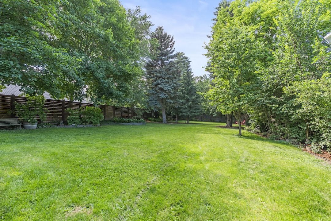 Half-acre backyard