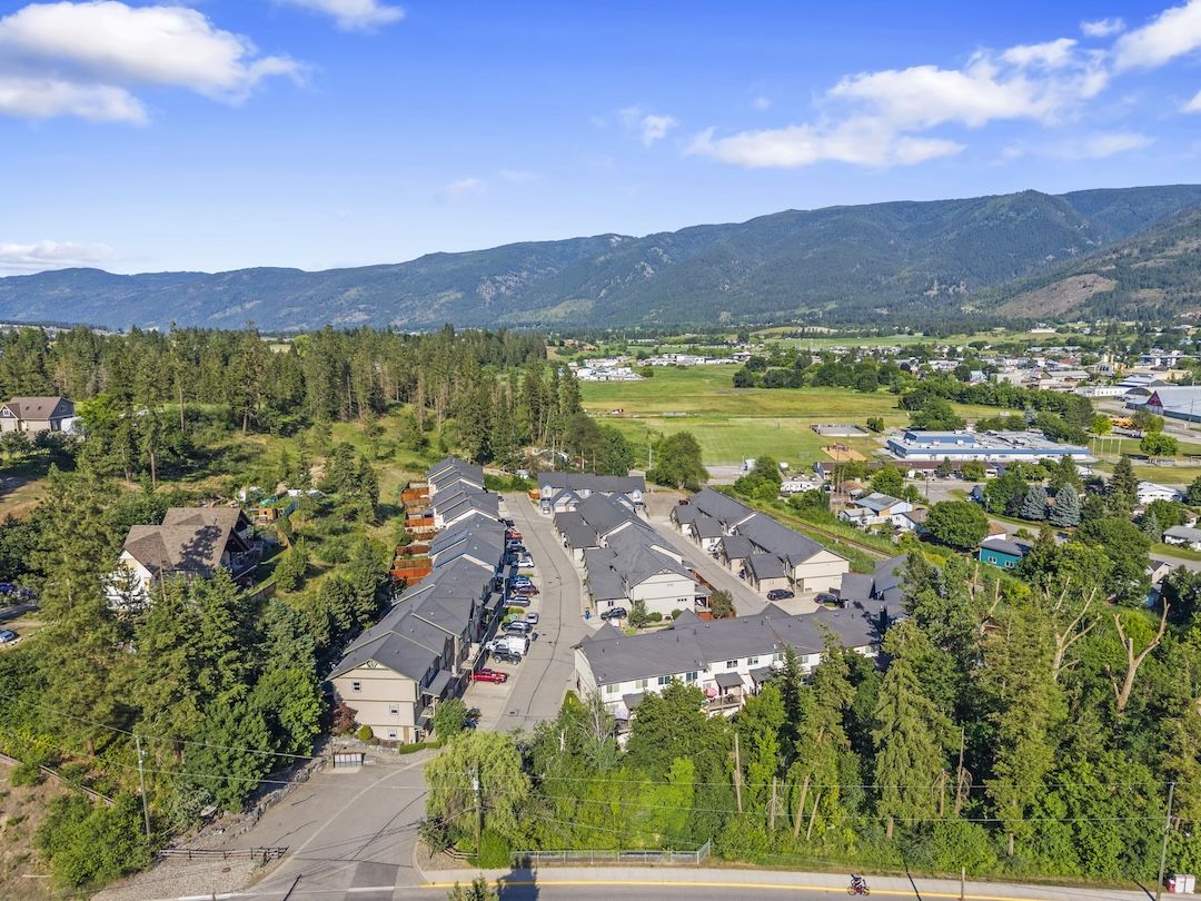 Aerial of the neighbourhood