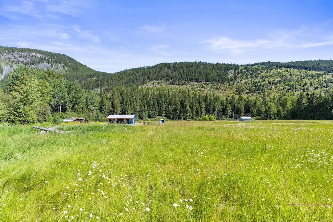 Open meadow