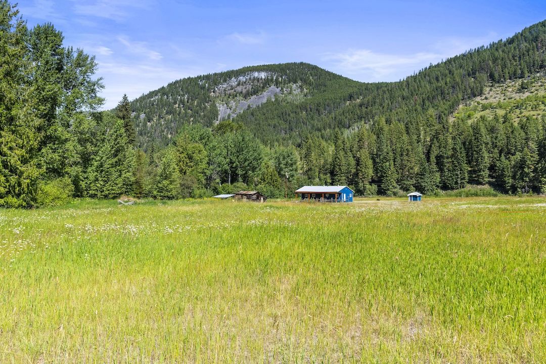 Meadow looking back to the home