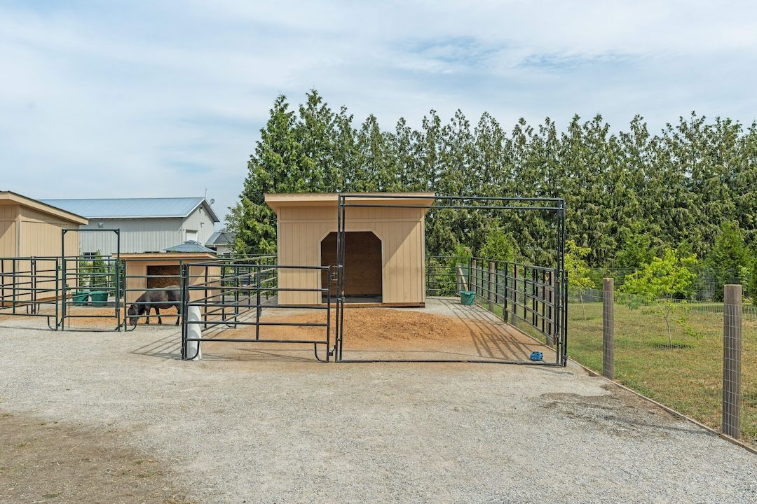 Paddock with horse shelter