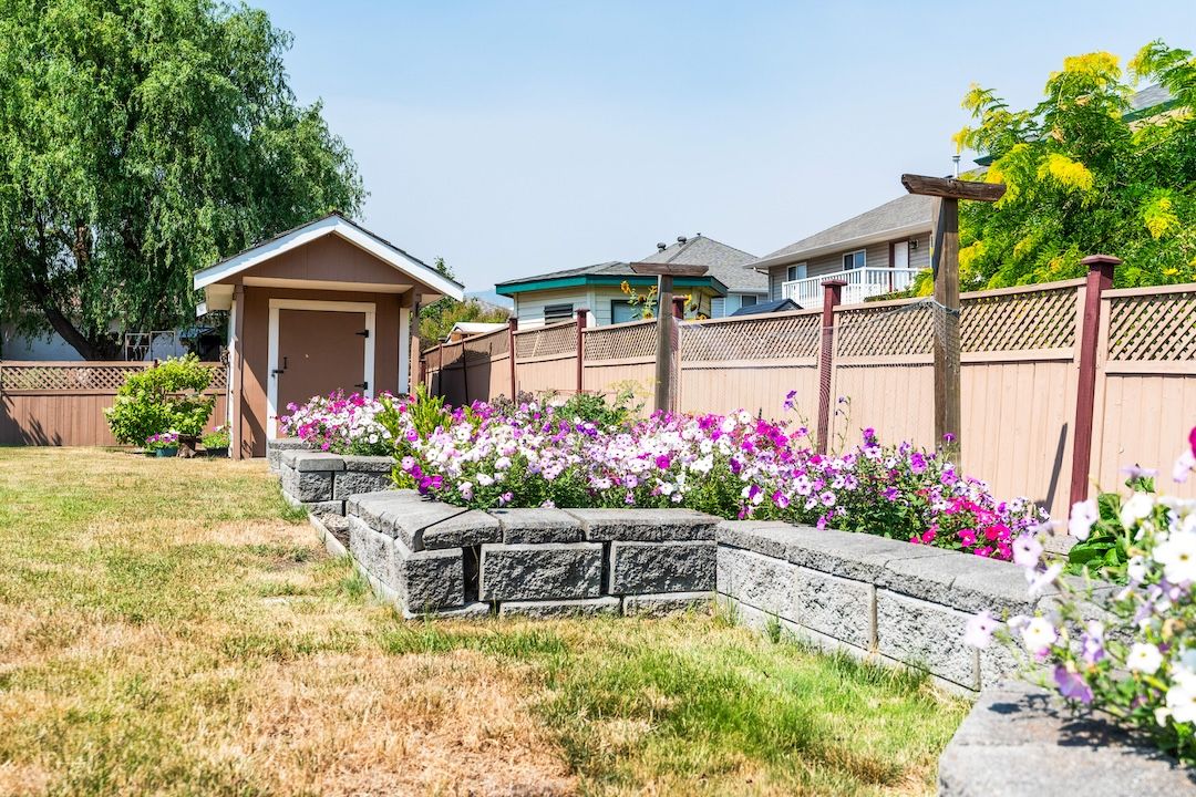 Established garden beds in the backyard