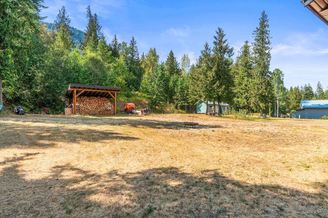 Open yard framed by evergreens