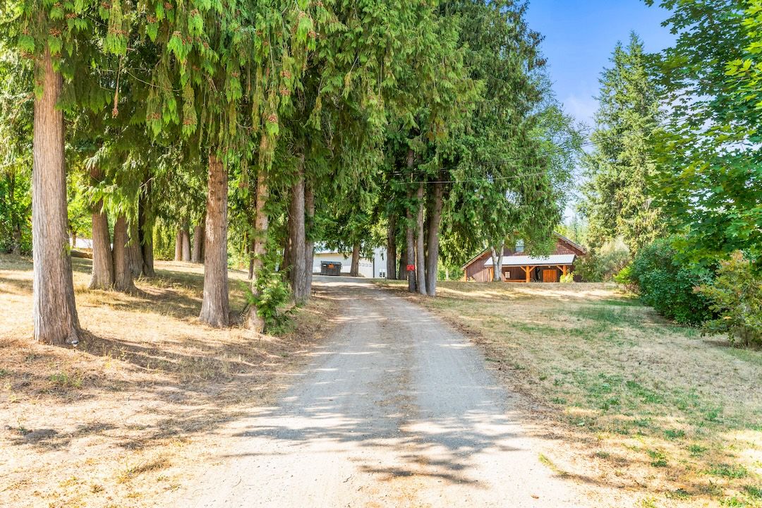 Tree-lined driveway into the property