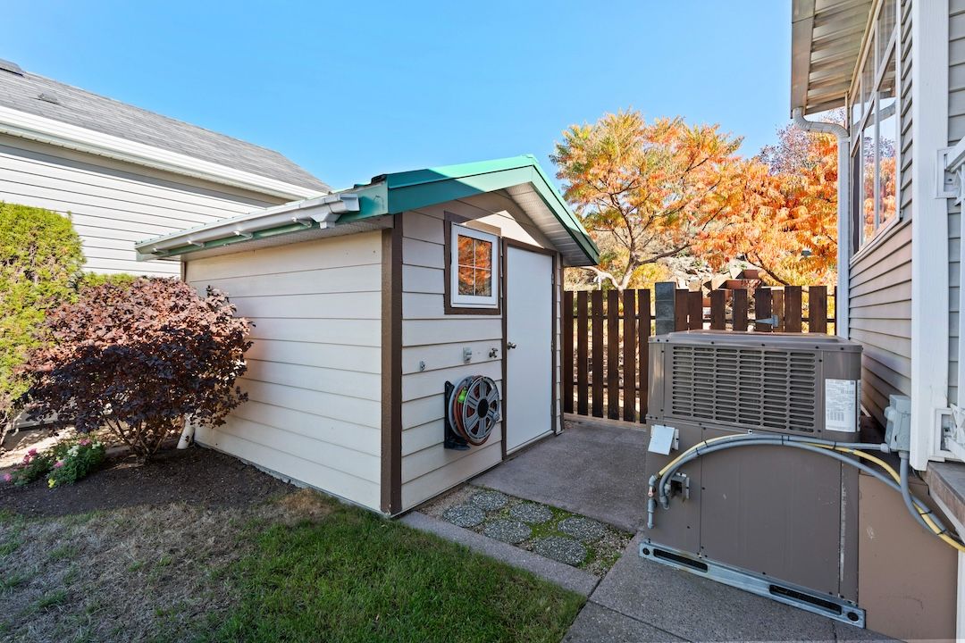 Workshop shed beside the garden