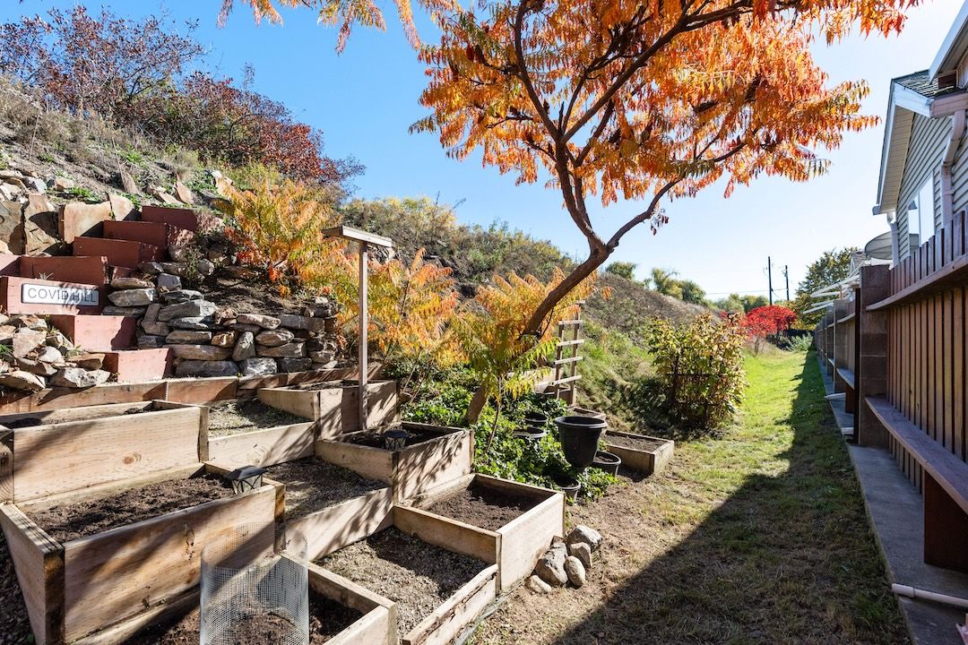 Terraced rock garden with planting beds and a maple