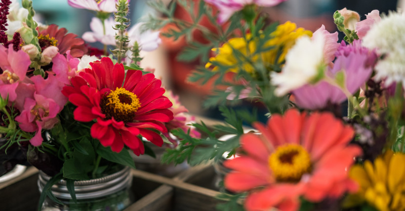 Using Flowers For Curb Appeal