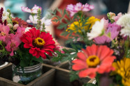 Using Flowers For Curb Appeal