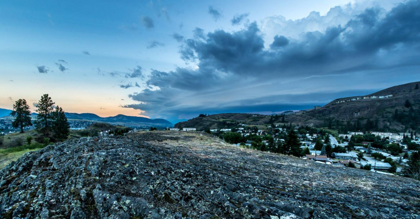 2019 in Vernon Real Estate 1st Half 