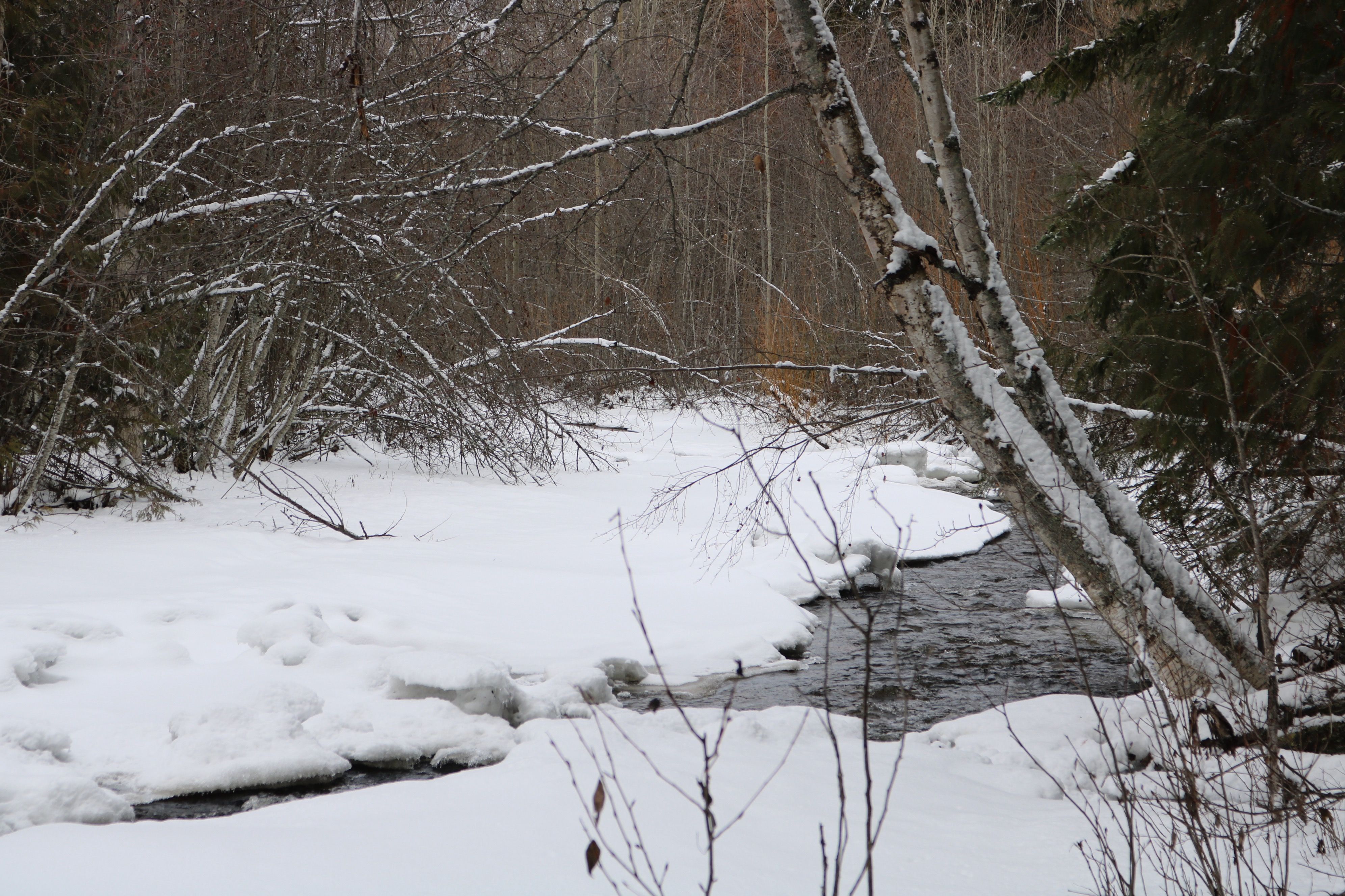 North Okanagan Real Estate Report for December 2019