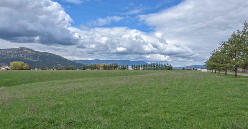 Recent Real Estate Sales in Armstrong, BC 