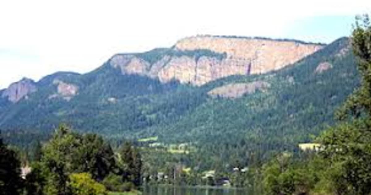 2017 Property Sales in Enderby, BC