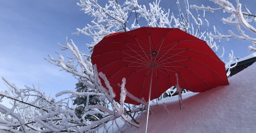 Armstrong Market Update Feb. 3-10, 2019