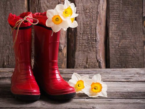 What's Happening Around Vernon March 30- April 5, 2019 