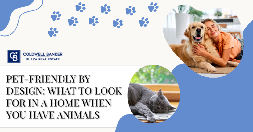 Pet-Friendly by Design: What to Look for in a Home When You Have Animals