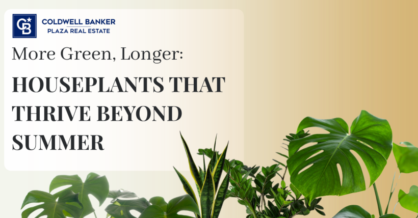 More Green, Longer: Houseplants That Thrive Beyond Summer