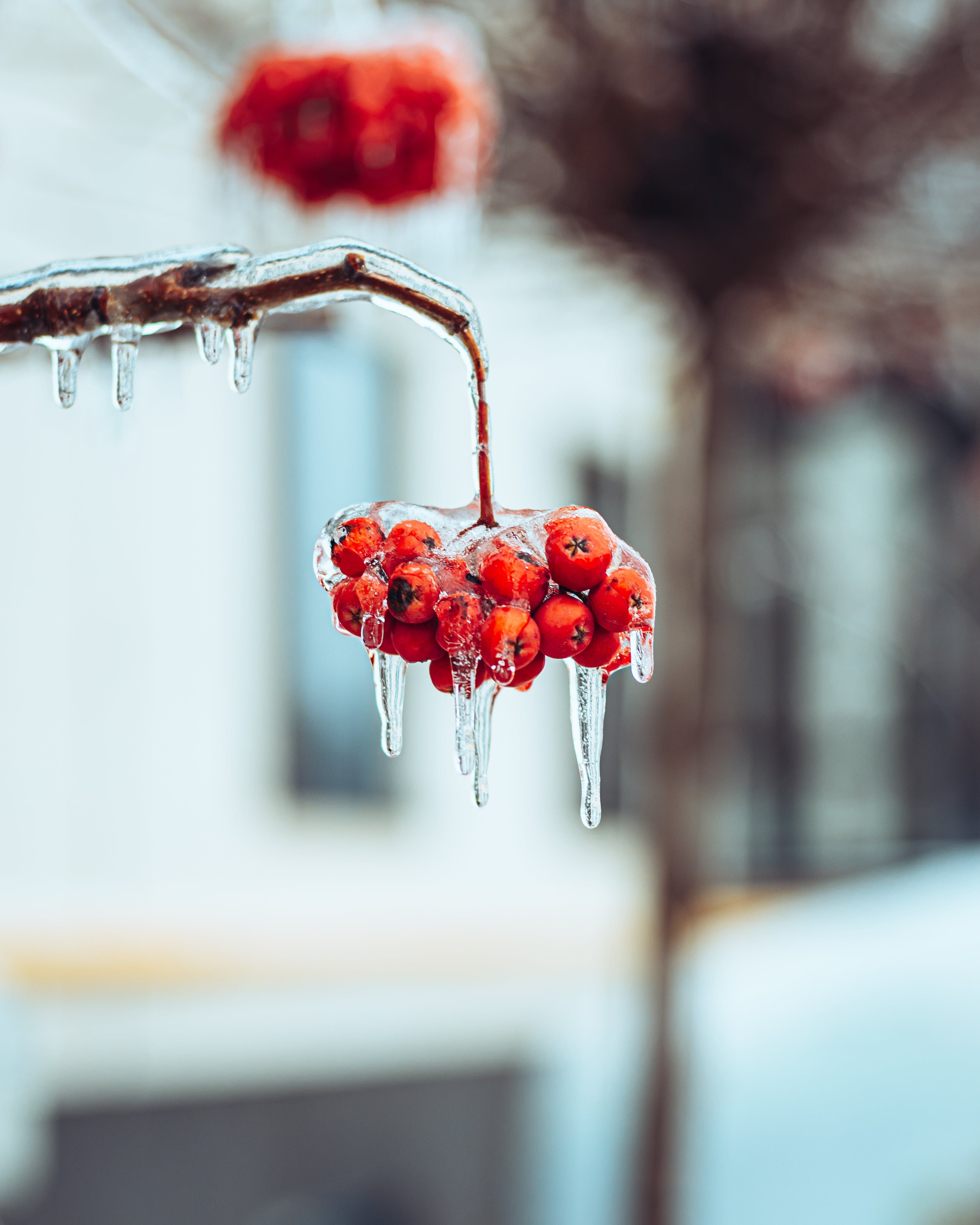 10 Tips to Prepare for the Winter Freeze