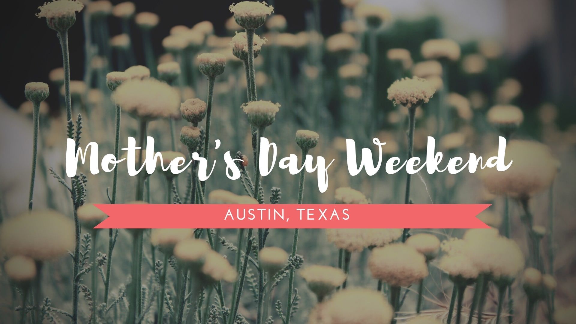 How will you celebrate MOM this weekend?