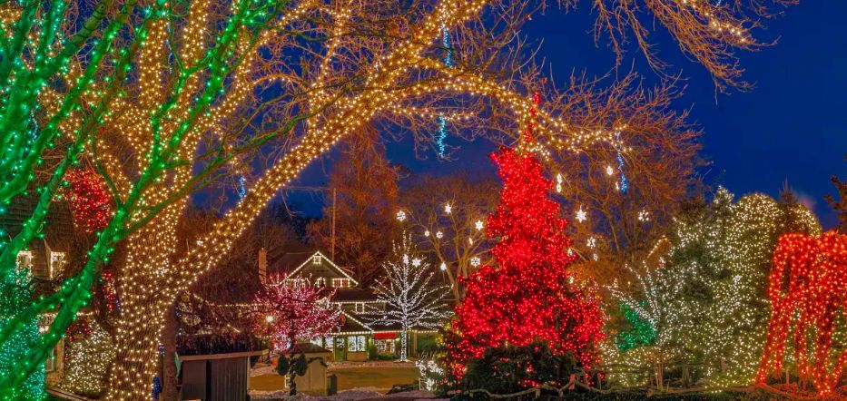 Tree Lighting Celebrations Tree Farms In Bucks County