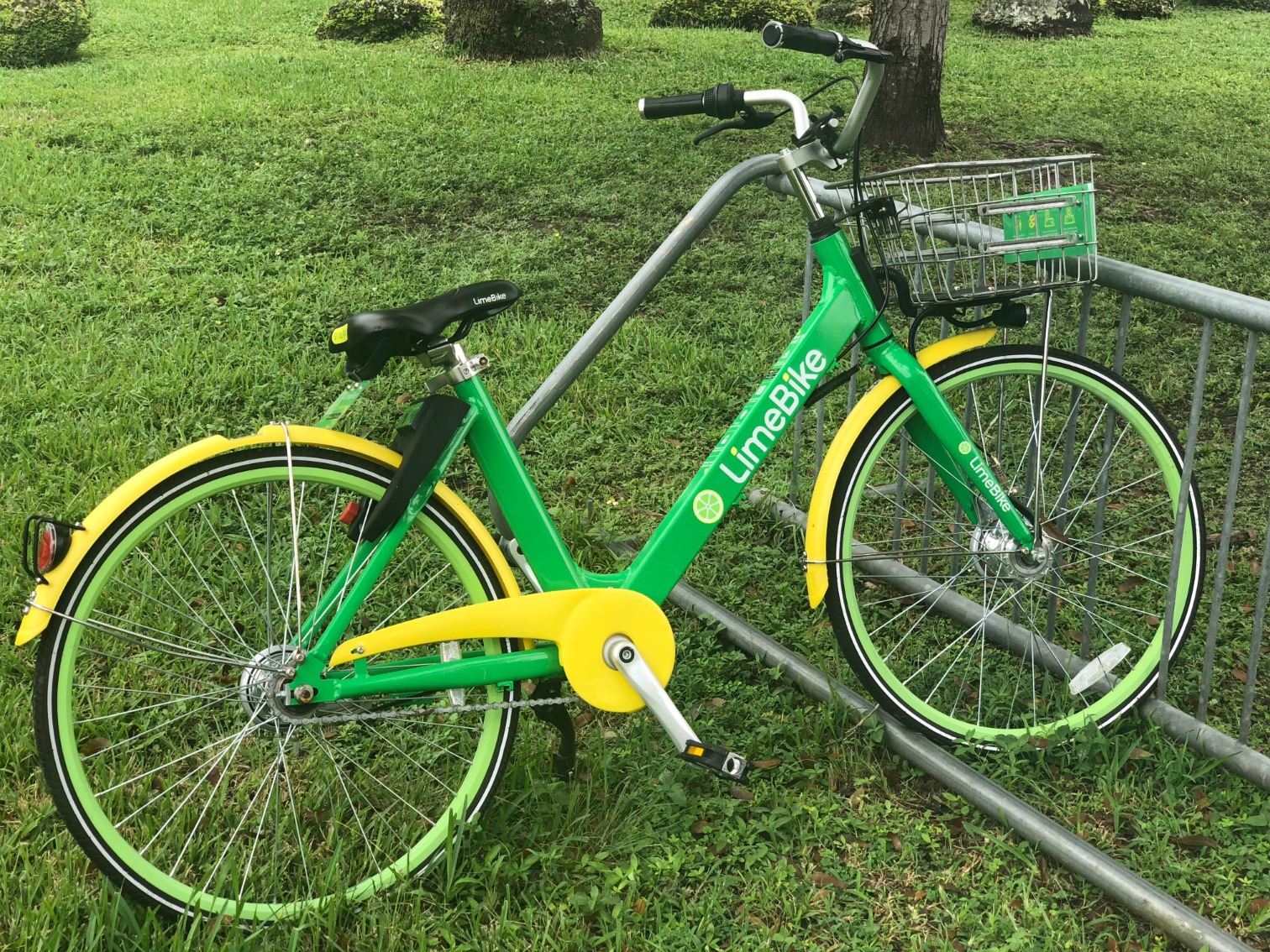 Limebike store key biscayne