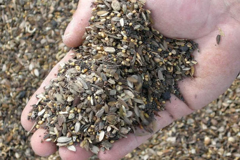 handful of seeds