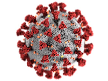 COVID virus image
