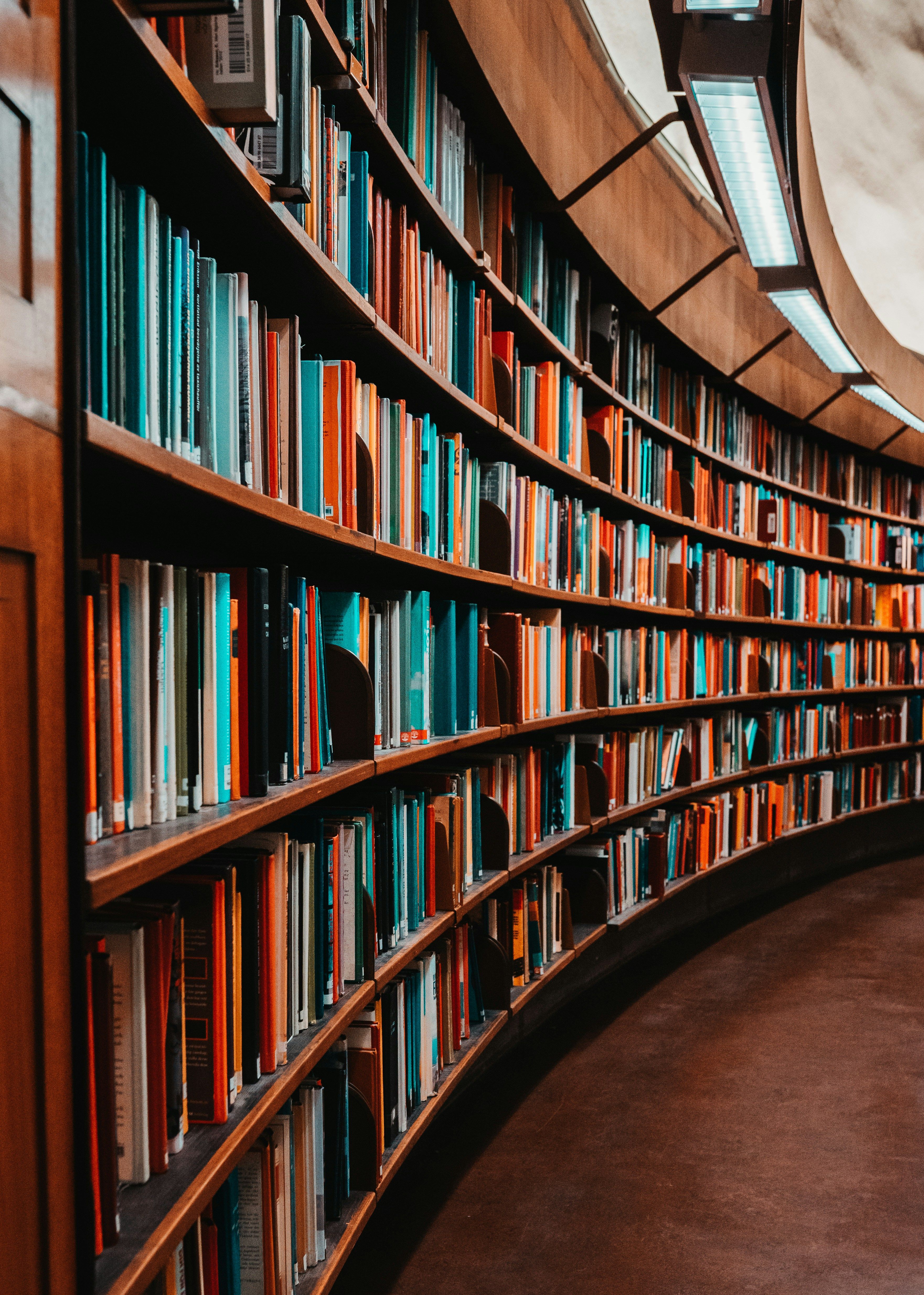 Conifer Library Opportunity