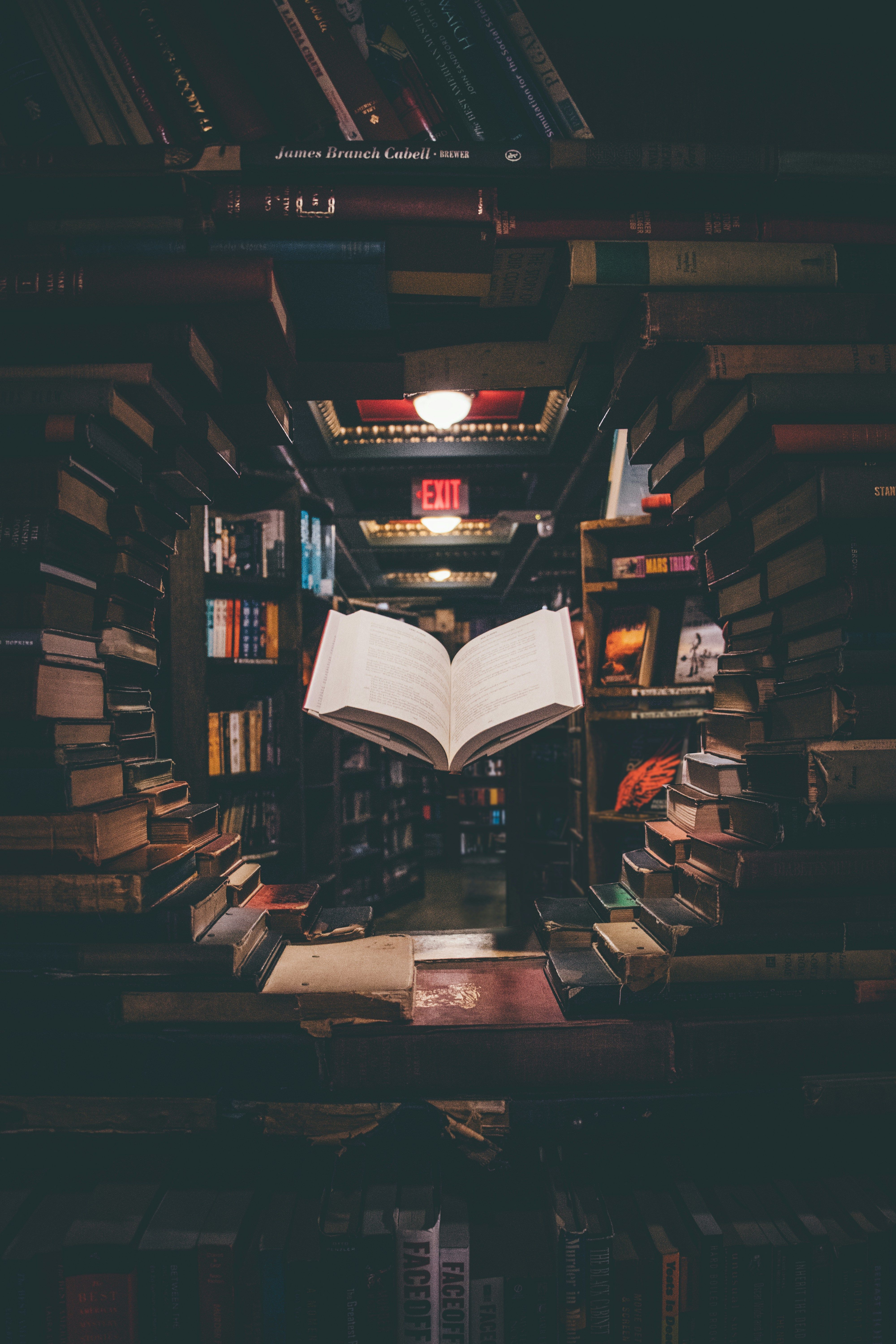 The Conifer Library Site Has Been Chosen