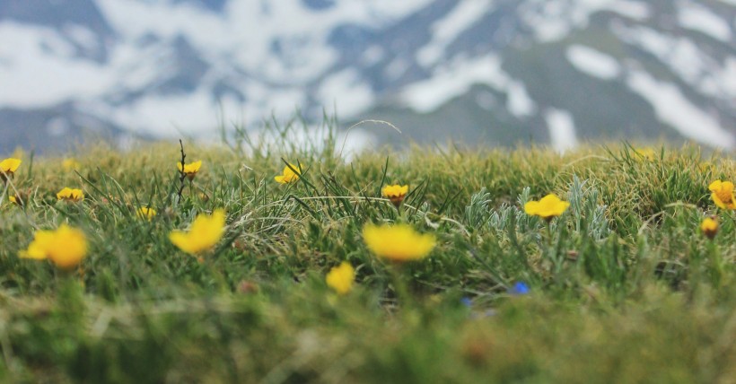 Where do Colorado's Foothills end and the mountains begin?