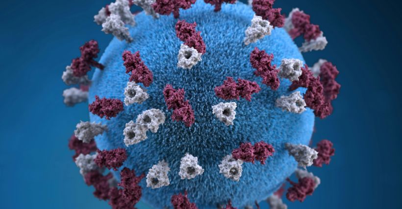 The Measles Outbreak